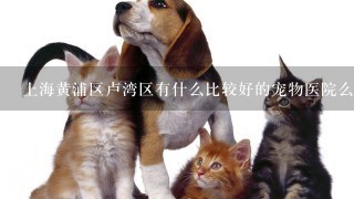 上海黄浦区卢湾区有什么比较好的宠物医院么?