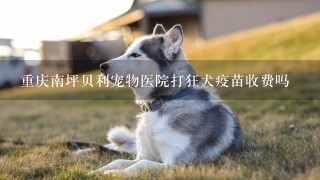 重庆南坪贝利宠物医院打狂犬疫苗收费吗