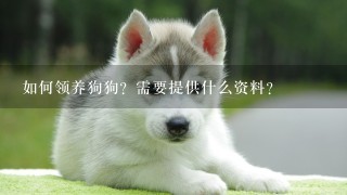 如何领养狗狗？需要提供什么资料？