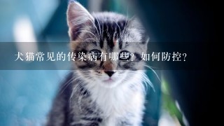 犬猫常见的传染病有哪些？如何防控？