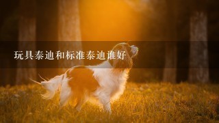 玩具泰迪和标准泰迪谁好