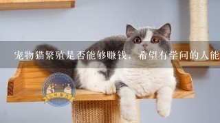 宠物猫繁殖是否能够赚钱，希望有学问的人能来解答？