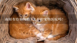 南阳有给狗狗拍X光片的宠物医院吗？