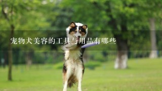 宠物犬美容的工具与用品有哪些