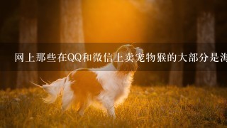 网上那些在QQ和微信上卖宠物猴的大部分是海南，都卖两千多，是不是真的？