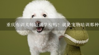 重庆有训犬师培训学校吗？就是宠物培训那种，宠物行业市场前景怎么样？
