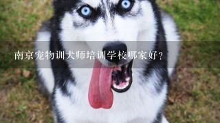 南京宠物训犬师培训学校哪家好？