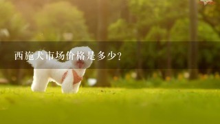 西施犬市场价格是多少？