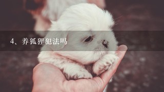 养狐狸犯法吗