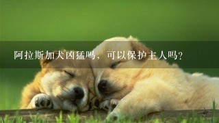 阿拉斯加犬凶猛吗，可以保护主人吗？