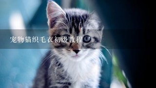 宠物猫织毛衣初级教程