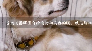 苍南龙港哪里有给宠物狗美容的啊，就是给狗洗澡，剃