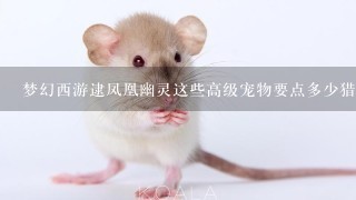 梦幻西游逮凤凰幽灵这些高级宠物要点多少猎术