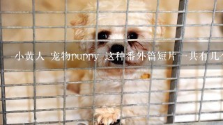 小黄人 宠物puppy 这种番外篇短片一共有几个