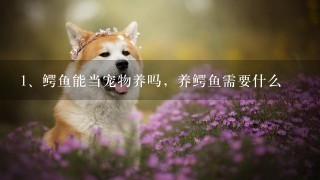 鳄鱼能当宠物养吗，养鳄鱼需要什么