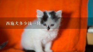 西施犬多少钱一只