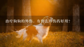 治疗狗狗的外伤，有什么外伤药好用？