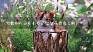 宠物狗打完所有疫苗需要花费多长时间？