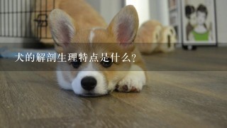 犬的解剖生理特点是什么？