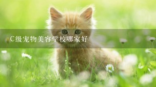 C级宠物美容学校哪家好