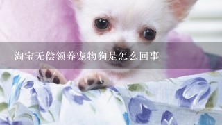 淘宝无偿领养宠物狗是怎么回事