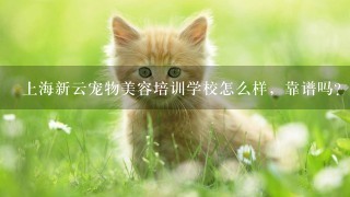 上海新云宠物美容培训学校怎么样，靠谱吗？