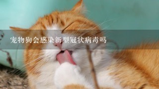 宠物狗会感染新型冠状病毒吗