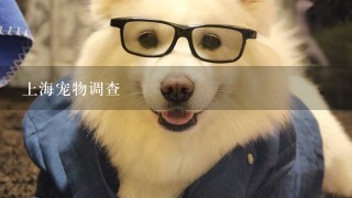 上海宠物调查