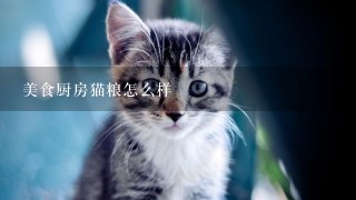 美食厨房猫粮怎么样