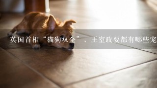 英国首相“猫狗双全”，王室政要都有哪些宠物情缘？