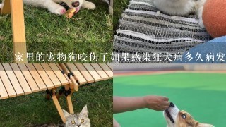 家里的宠物狗咬伤了如果感染狂犬病多久病发