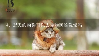 25天的狗狗可以去宠物医院洗澡吗