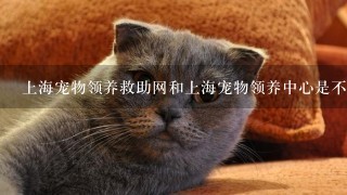 上海宠物领养救助网和上海宠物领养中心是不是骗人的