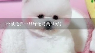 松鼠是养一只好还是两只好？