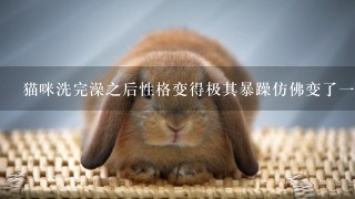 猫咪洗完澡之后性格变得极其暴躁仿佛变了一个猫，怎么办？