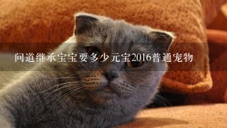 问道继承宝宝要多少元宝2016普通宠物