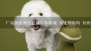 广东省惠州是惠阳区镇隆镇 有宠物店吗 有的话怎么去