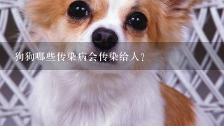 狗狗哪些传染病会传染给人？