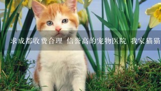 求成都收费合理 信誉高的宠物医院 我家猫猫病了