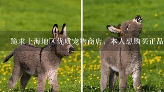跪求上海地区优质宠物商店，本人想购买正品垂耳兔。
