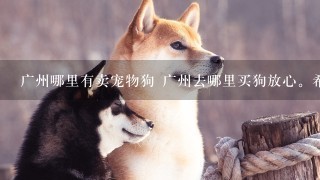 广州哪里有卖宠物狗 广州去哪里买狗放心。希望度友帮忙啦