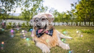 从北京把宠物托运到上海需要办理的手续拜托各位了 3Q