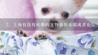 上海有没有火爆的宠物猫俱乐部或者论坛?不要狗狗的