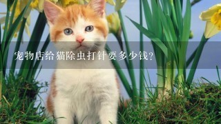 宠物店给猫除虫打针要多少钱？