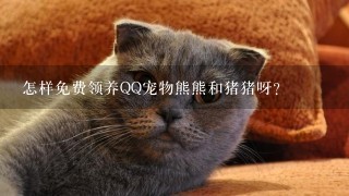 怎样免费领养QQ宠物熊熊和猪猪呀？