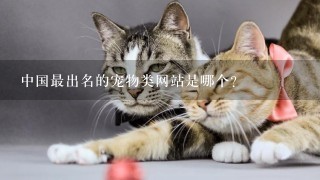 中国最出名的宠物类网站是哪个？