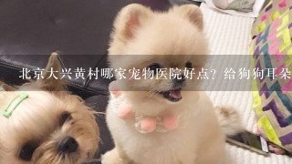 北京大兴黄村哪家宠物医院好点？给狗狗耳朵血肿做手