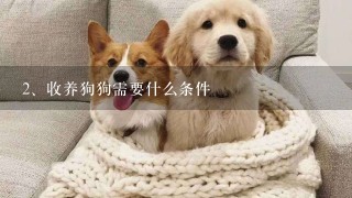 收养狗狗需要什么条件