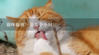 猫咪输液一般几个小时