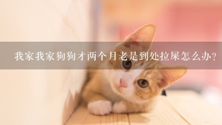 我家我家狗狗才两个月老是到处拉屎怎么办？